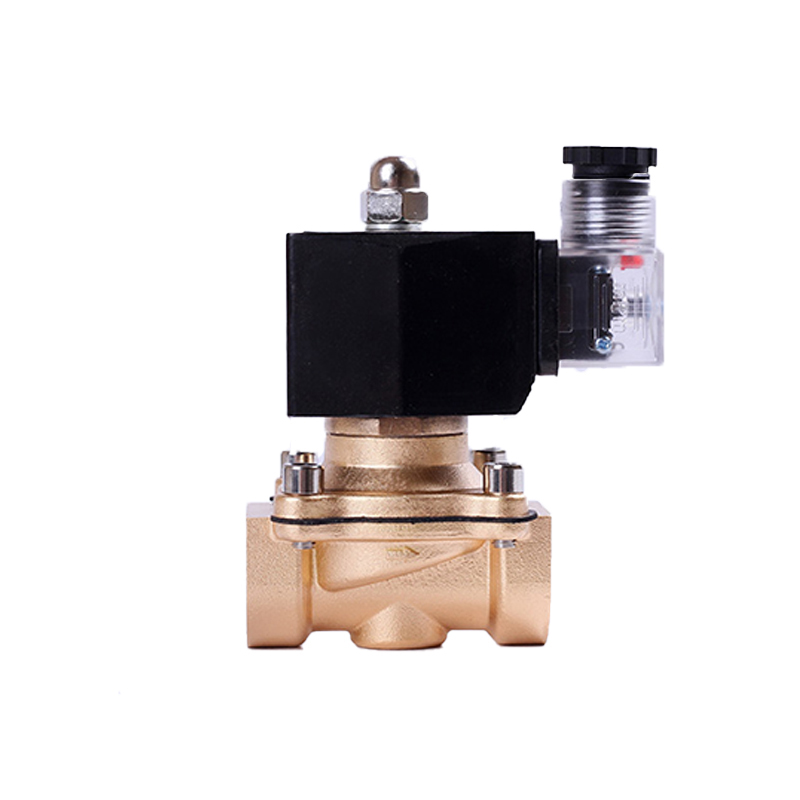 Waterproof Normally Closed Brass Solenoid Valve 220VAC 110VAC 24VDC 12VDC 24VAC Direct Acting For Water Gas Oil Manufacturer